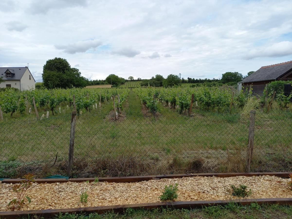 Hebergement Sarment Du Veron Chinon Villa Beaumont-en-Veron Ngoại thất bức ảnh