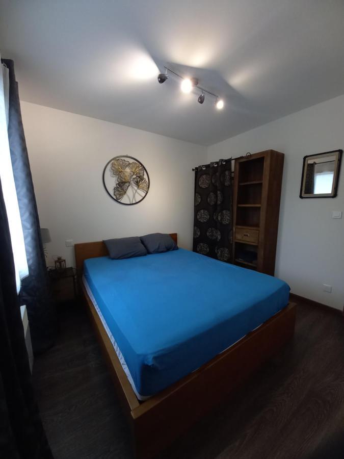 Hebergement Sarment Du Veron Chinon Villa Beaumont-en-Veron Ngoại thất bức ảnh