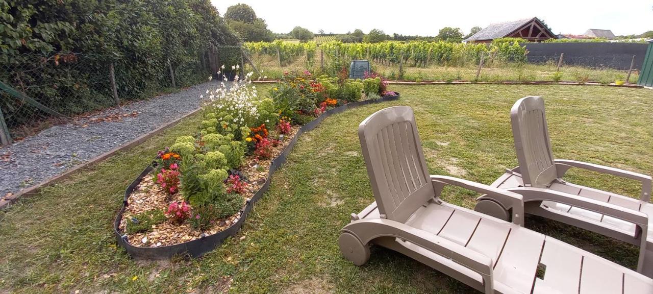 Hebergement Sarment Du Veron Chinon Villa Beaumont-en-Veron Ngoại thất bức ảnh